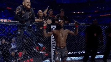Aljamain Sterling Sport GIF by UFC