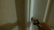 room mess GIF