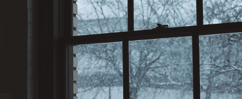 snow GIF
