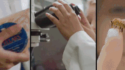 university of vermont college GIF