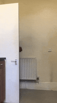 Get Busy Dancing GIF