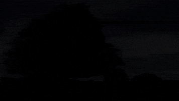 Music Video Chill GIF