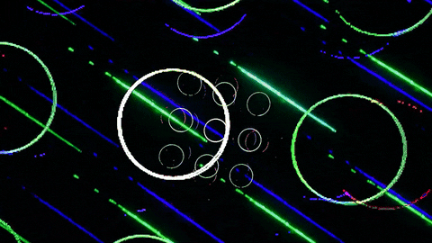 Get On Colors GIF by ROYAL PRISMATIC