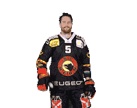 Scb Sticker by SC Bern
