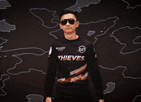 League Of Legends Whatever GIF by 100 Thieves