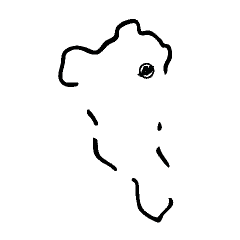 Go Boldly Bass Fishing Sticker by mercurymarine