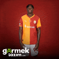 Wilfried GIF by Görmek Lazım