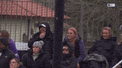 Fans Celebrate GIF by Northwestern Athletics