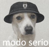 Soccer Victory GIF