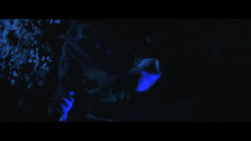night neon GIF by Columbia Records