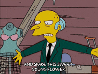 season 17 episode 13 GIF