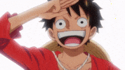 One Piece Law GIF by Toei Animation