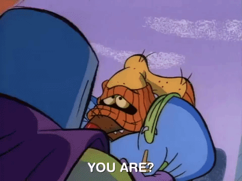 angry beavers nicksplat GIF