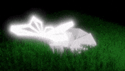 flutttr butterfly flutter flutttr GIF