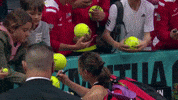 Gracheva GIF