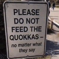 Quokka GIF by Respective