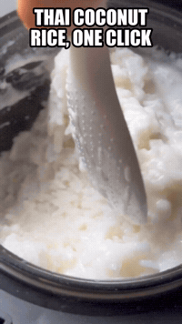 Thai Coconut Rice, One Click | Rice Robot