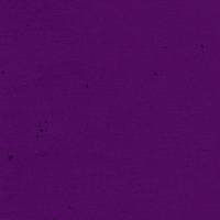 quillayes_surlat  GIF