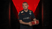 Happy Christmas Tree GIF by Bundesliga