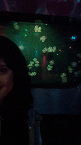 Fish Tank GIF