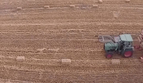 hay satisfying GIF
