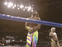 Randy Savage Sport GIF by WWE
