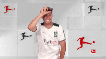 Borussia Moenchengladbach Football GIF by Bundesliga
