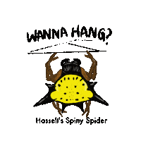 Spider Sticker by National Parks Board
