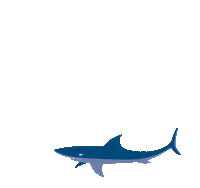 haus des meeres love Sticker