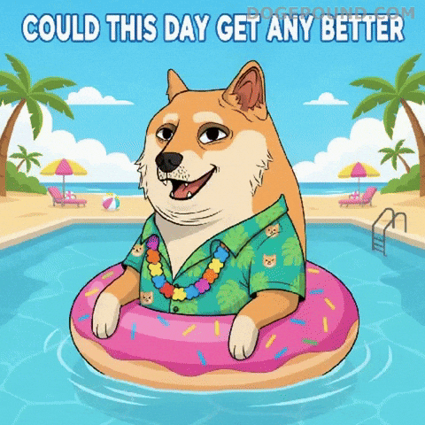 Happy Good Vibes GIF by Doge Pound