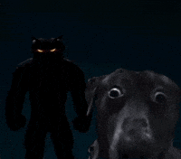 Kung Fu Panda Dreamworks GIF