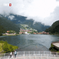 Travel Forest GIF by TRT