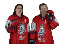 Celebration Hockey Sticker by Národní tým