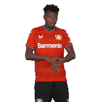 Come On Please Sticker by Bayer 04 Leverkusen