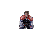 Ducs Dangers Hockey Sticker by Les Ducs d'Angers