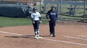 Usu GIF by USUAthletics