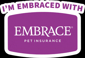 Dog Insurance GIF by Embrace Pet Insurance