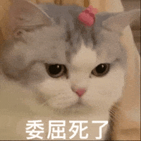 Mikachu GIF