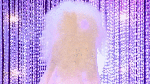 season 7 GIF by RuPaul's Drag Race