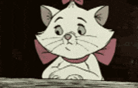 share discover GIF