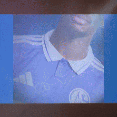 Football Soccer GIF by FC Schalke 04
