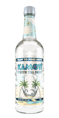 Party Summer Sticker by Kamotí Spirits