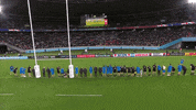 Japan Respect GIF by Rugby World Cup