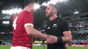 Respect Hug GIF by Rugby World Cup