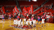 Cardinal GIF by Lamar University