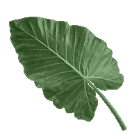 Summer Spring Sticker by Vnukovo Outlet Village