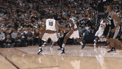 fiba GIF