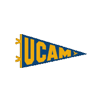 Flag Banderin Sticker by UCAM Universidad