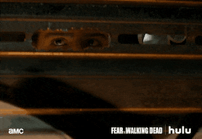fear the walking dead amc GIF by HULU