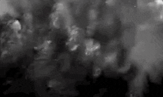 Movie Film GIF